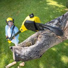 Landscape Design and Installation in La Porte, TX